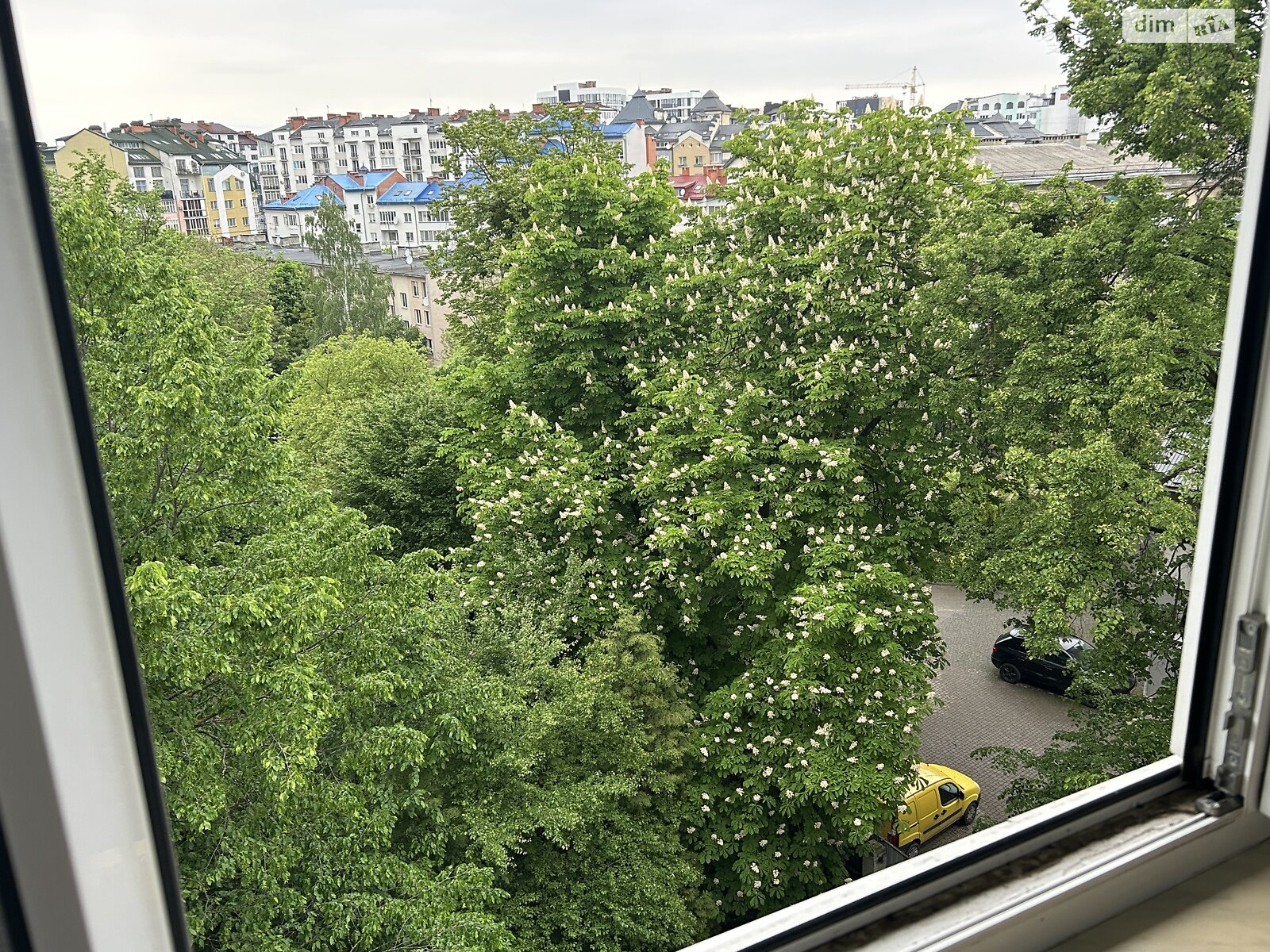 трехкомнатная квартира в Ивано-Франковске, район Центр, на ул. Гетьмана Ивана Мазепы 32 в аренду на долгий срок помесячно фото 1 трехкомнатная квартира в Ивано-Франковске, район Центр, на ул. Гетьмана Ивана Мазепы 32 в аренду на долгий срок помесячно фото 1
