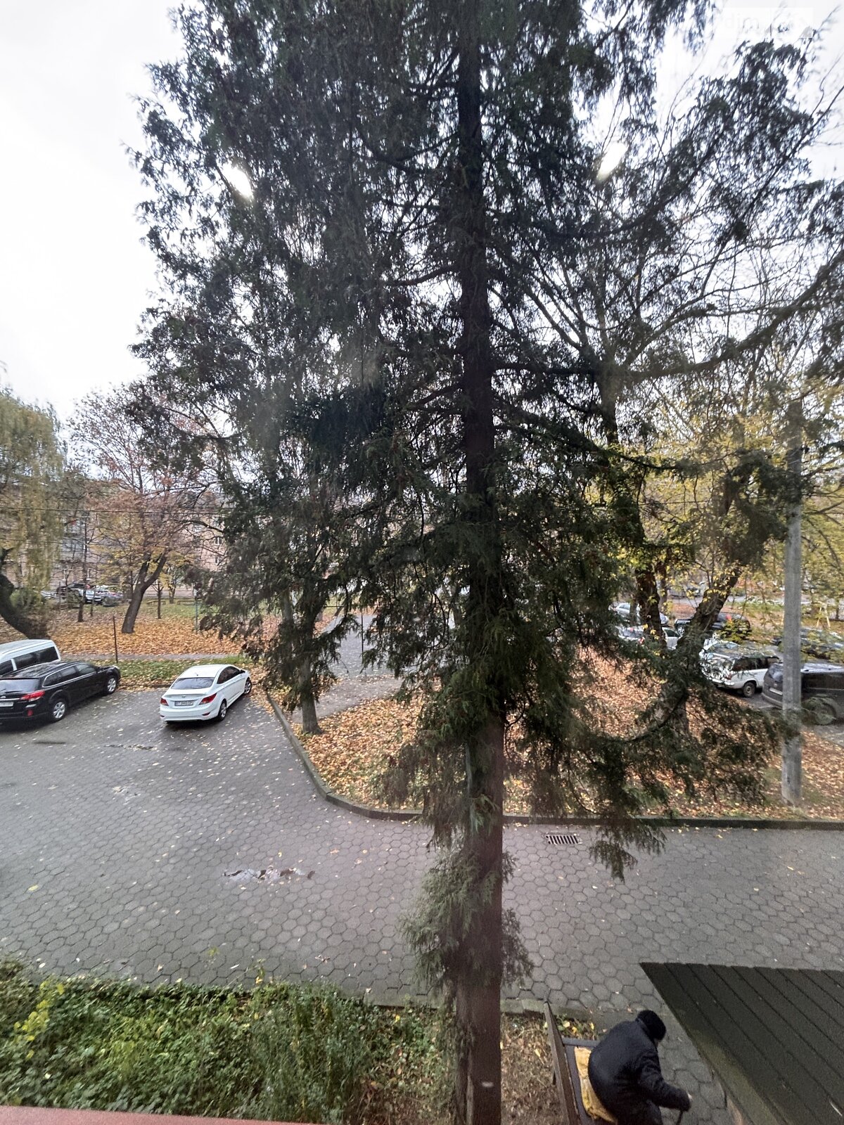 однокомнатная квартира в Ивано-Франковске, район Центр, на ул. Военных Ветеранов 3А в аренду на долгий срок помесячно фото 1