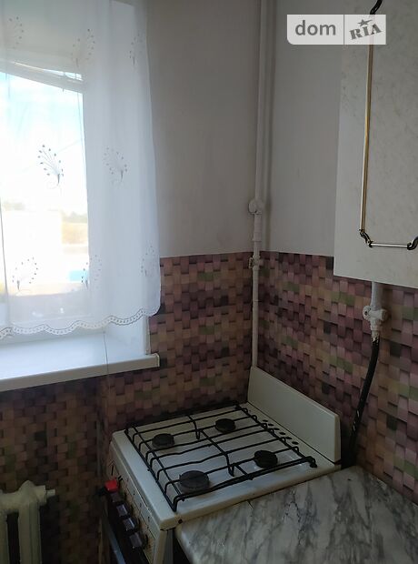 однокомнатная квартира в Житомире, район Крошня, на ул. Покровская в аренду на долгий срок помесячно фото 1 однокомнатная квартира в Житомире, район Крошня, на ул. Покровская в аренду на долгий срок помесячно фото 1