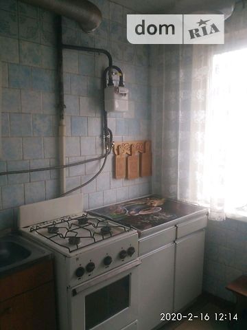 двухкомнатная квартира в Житомире, район Полевая, на ул. Космонавтов 24, в аренду на долгий срок помесячно фото 1 двухкомнатная квартира в Житомире, район Полевая, на ул. Космонавтов 24, в аренду на долгий срок помесячно фото 1