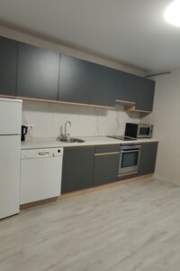 однокомнатная квартира в Житомире, район Центр, на ул. Домбровского в аренду на долгий срок помесячно фото 2