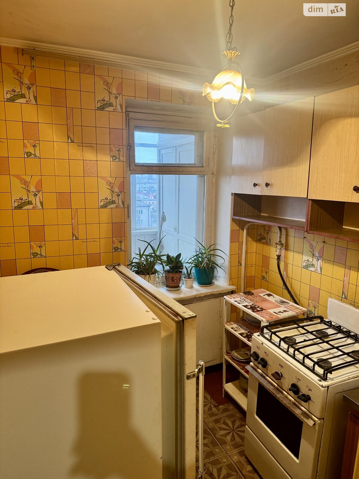 однокомнатная квартира в Житомире, район Центр, на ул. Князей Острожских 81 в аренду на долгий срок помесячно фото 1