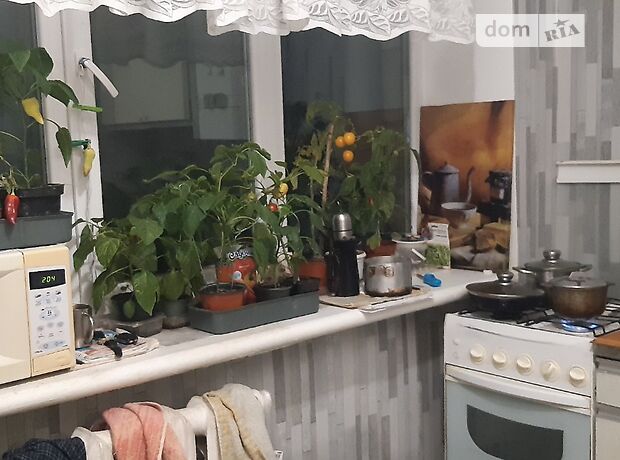 однокомнатная квартира с мебелью в Житомире, район Центр, на лятошинского в аренду на долгий срок помесячно фото 1 однокомнатная квартира с мебелью в Житомире, район Центр, на лятошинского в аренду на долгий срок помесячно фото 1