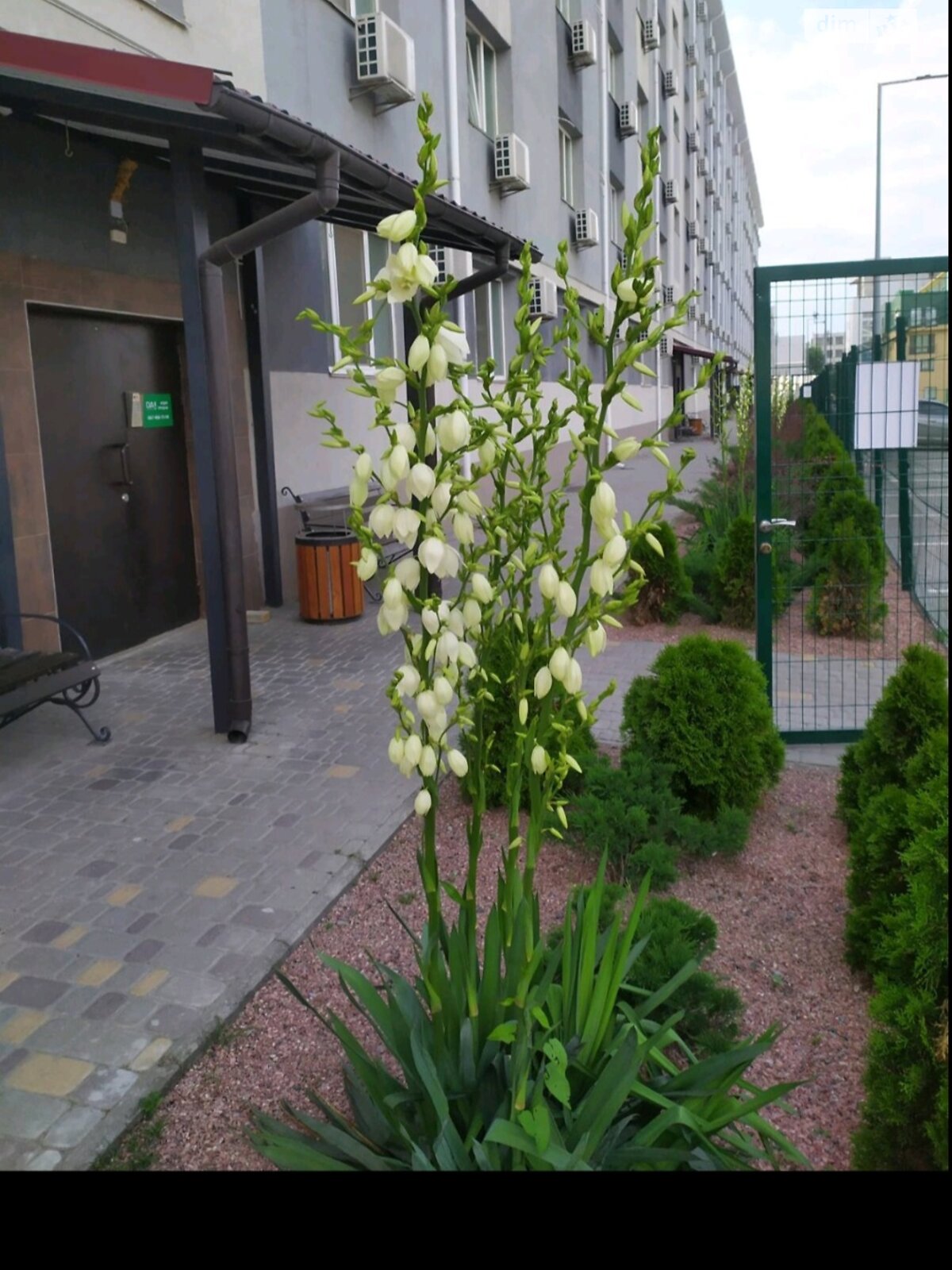 однокімнатна квартира в Києві, район Деснянський, на вул. Вінстона Черчилля 93 в довготривалу оренду помісячно фото 1