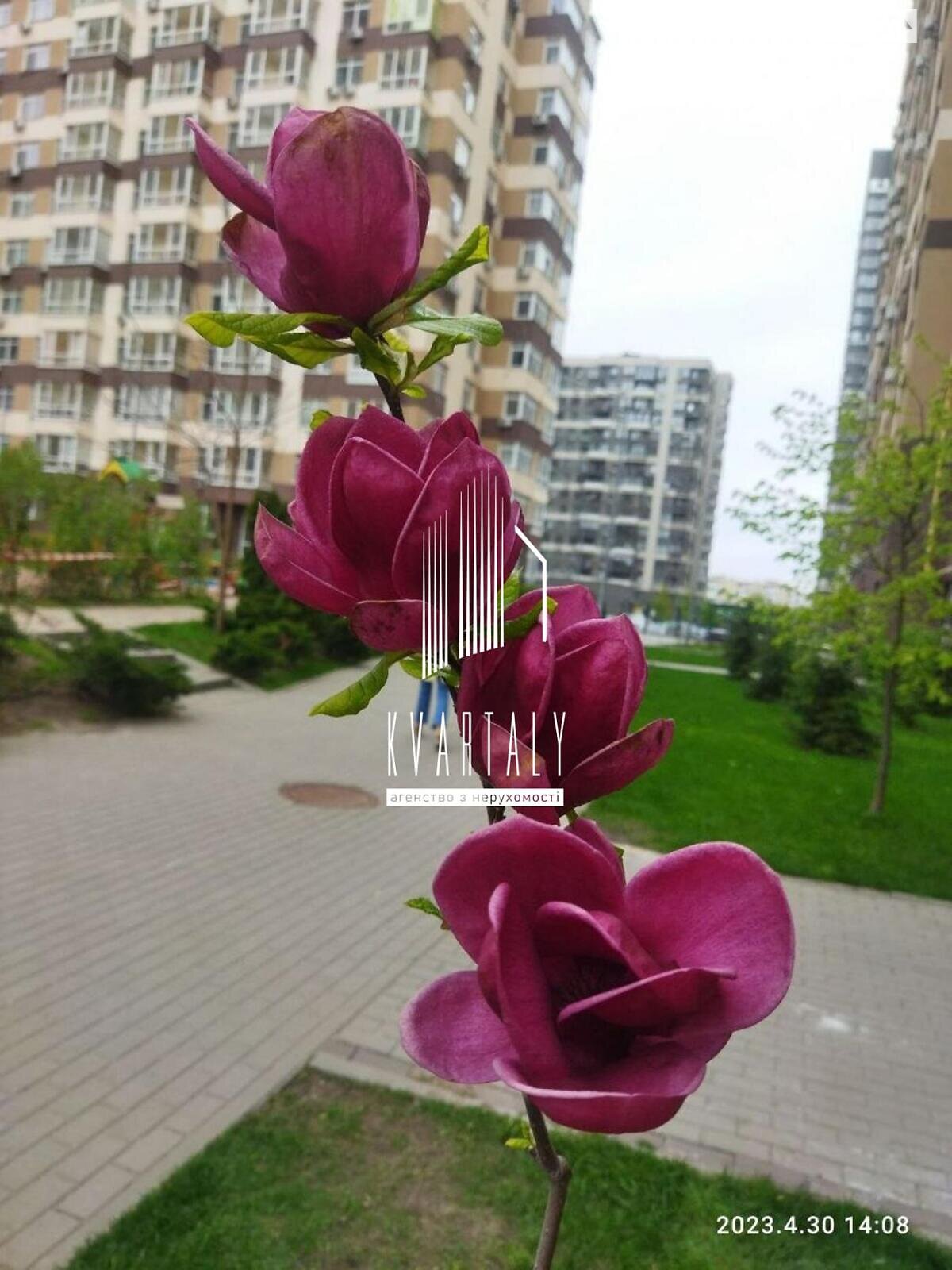однокомнатная квартира в Киеве, на просп. Европейского Союза 41 в аренду на долгий срок помесячно фото 1 однокомнатная квартира в Киеве, на просп. Европейского Союза 41 в аренду на долгий срок помесячно фото 1
