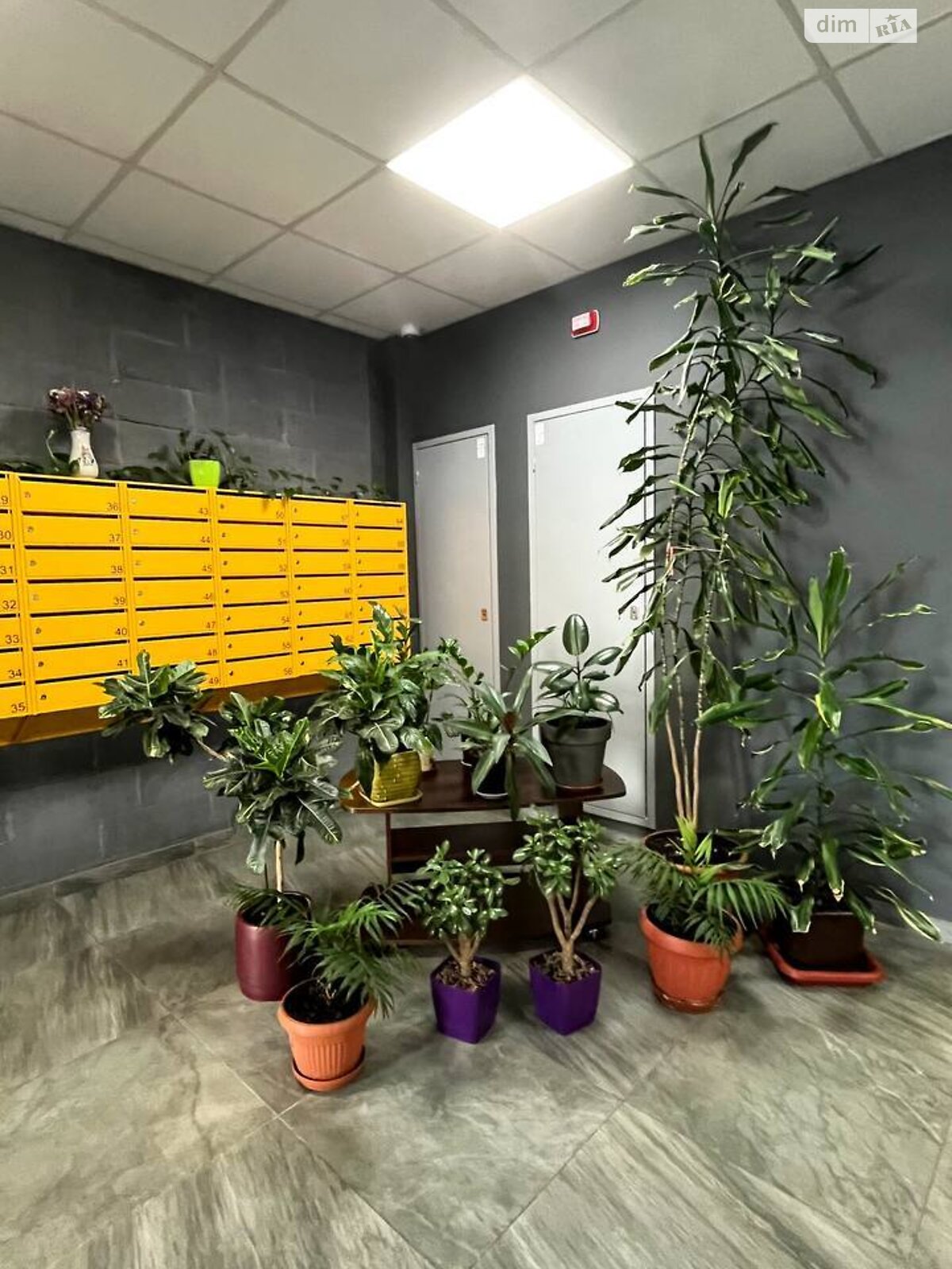 двухкомнатная квартира в Киеве, район Галаганы, на просп. Берестейский 71А в аренду на долгий срок помесячно фото 1