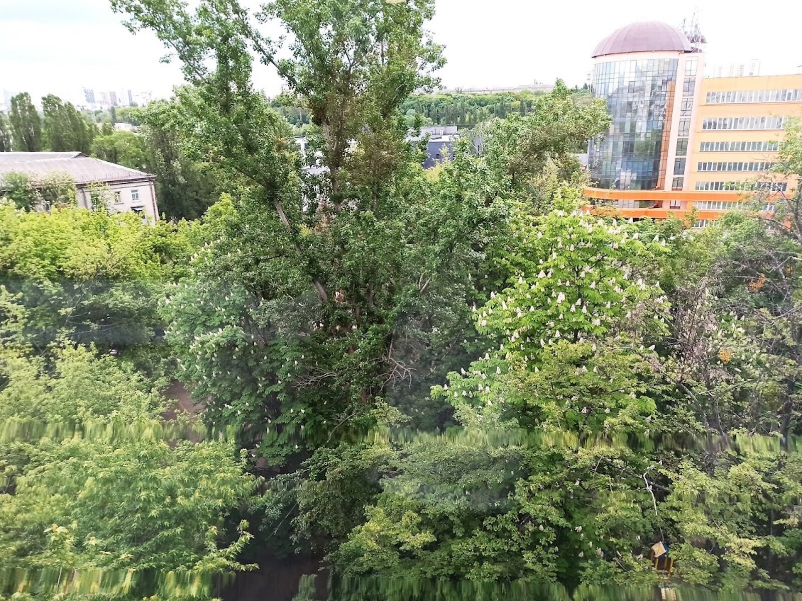 однокімнатна квартира в Києві, район Караваєві Дачі, на вул. Борщагівська 117/125 в довготривалу оренду помісячно фото 1 однокімнатна квартира в Києві, район Караваєві Дачі, на вул. Борщагівська 117/125 в довготривалу оренду помісячно фото 1