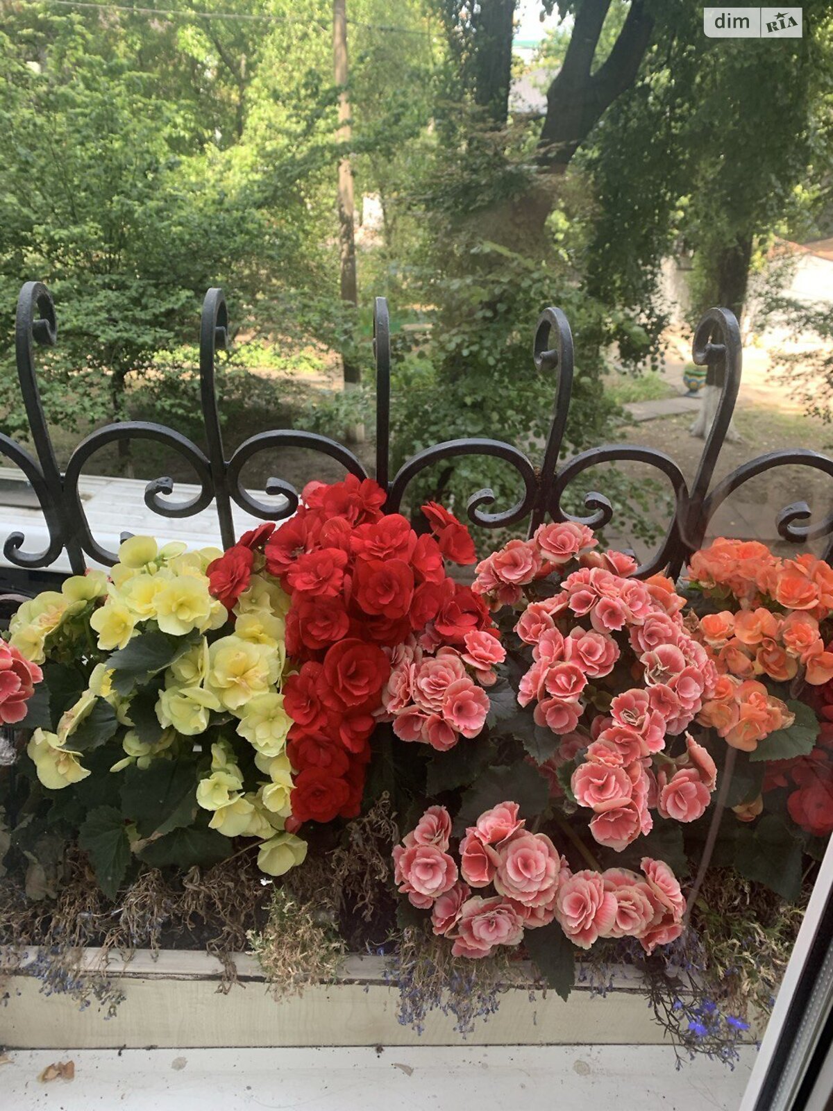 трикімнатна квартира в Києві, район Липки, на вул. Шовковична 32/34 в довготривалу оренду помісячно фото 1 трикімнатна квартира в Києві, район Липки, на вул. Шовковична 32/34 в довготривалу оренду помісячно фото 1