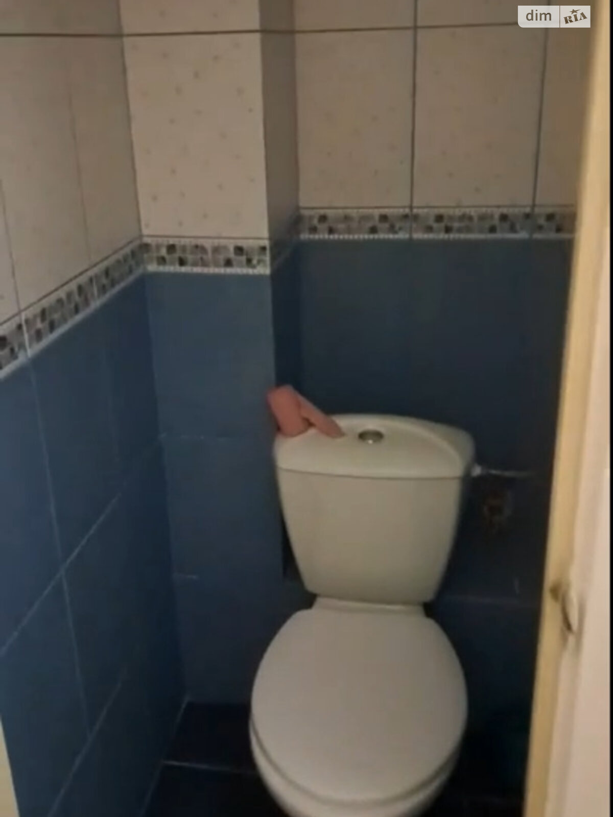 однокімнатна квартира в Києві, на просп. Миколи Бажана 28А в довготривалу оренду помісячно фото 1 однокімнатна квартира в Києві, на просп. Миколи Бажана 28А в довготривалу оренду помісячно фото 1