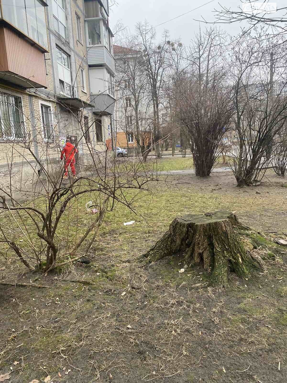 однокімнатна квартира в Києві, район Нивки, на вул. Ружинська 20/54 в довготривалу оренду помісячно фото 1