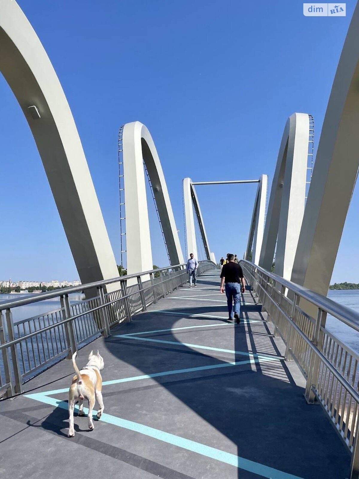 трикімнатна квартира в Києві, район undefined, на просп. Володимира Івасюка 18А в довготривалу оренду помісячно фото 1 трикімнатна квартира в Києві, район undefined, на просп. Володимира Івасюка 18А в довготривалу оренду помісячно фото 1