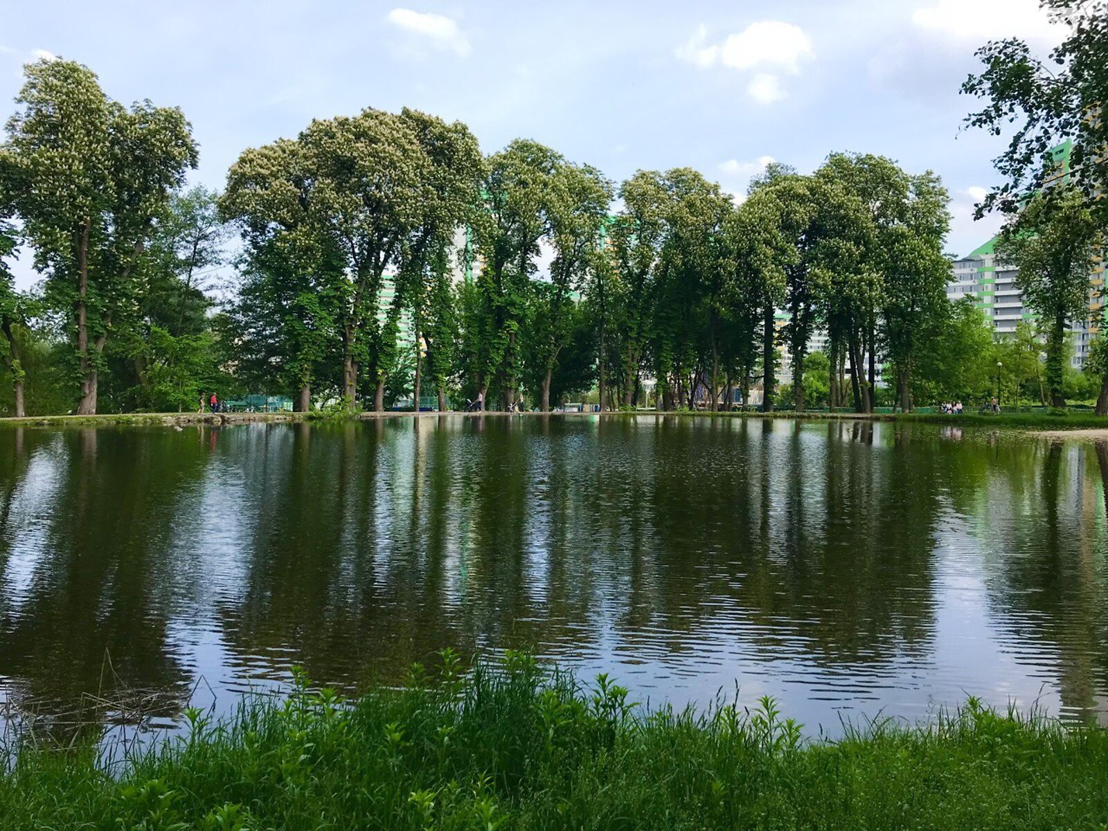 двокімнатна квартира в Києві, район Вітряні Гори, на вул. Вишгородська 45А/5 в довготривалу оренду помісячно фото 1 двокімнатна квартира в Києві, район Вітряні Гори, на вул. Вишгородська 45А/5 в довготривалу оренду помісячно фото 1
