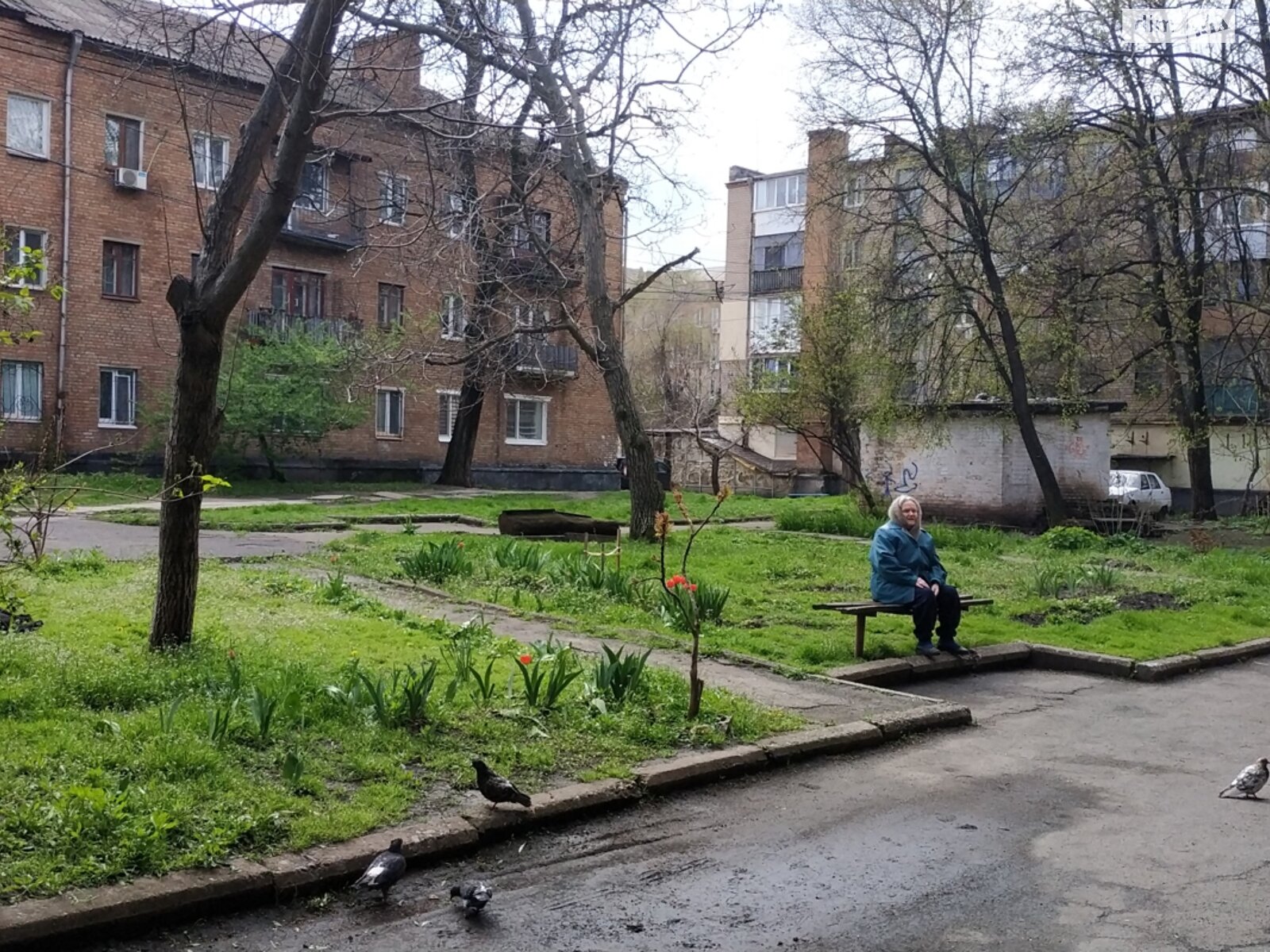 двокімнатна квартира з меблями в Кривому Розі, район Центрально-Міський, на вул. Українська 118 в довготривалу оренду помісячно фото 1