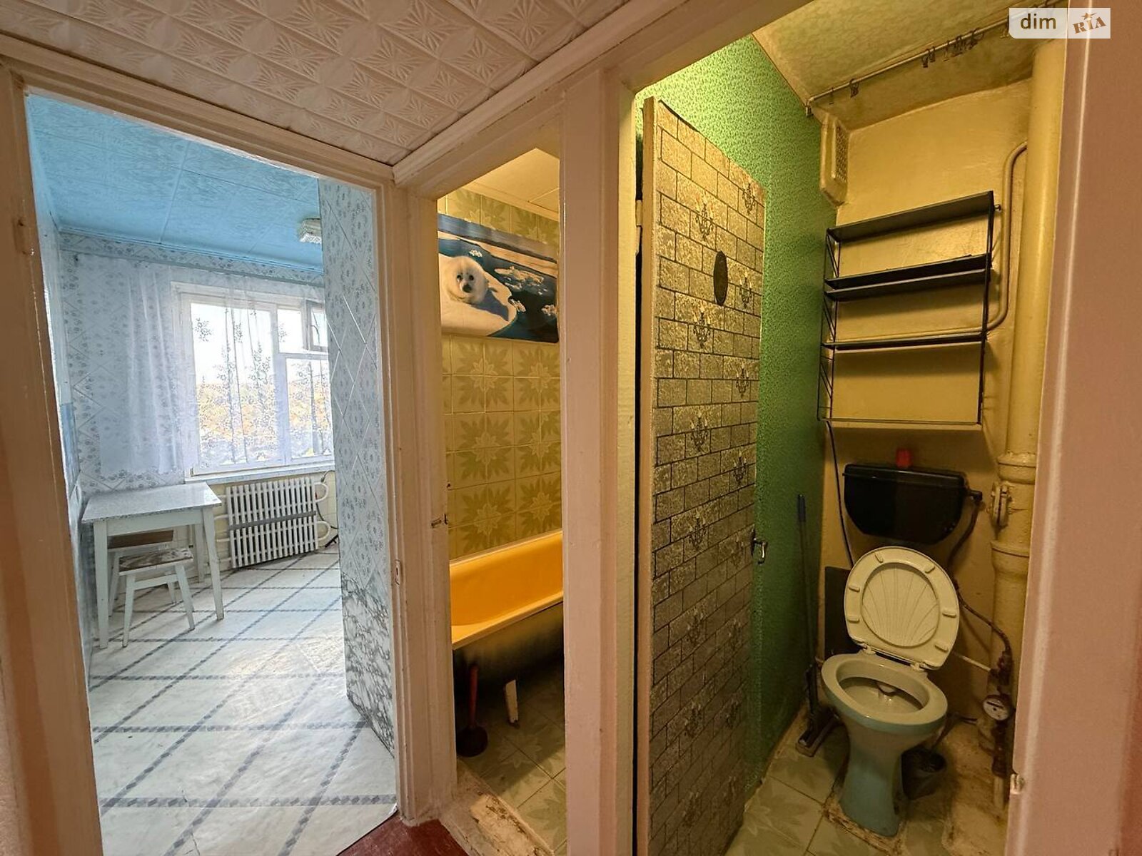 двокімнатна квартира в Кривому Розі, район Центрально-Міський, на вул. Петра Калнишевського 20 в довготривалу оренду помісячно фото 1 двокімнатна квартира в Кривому Розі, район Центрально-Міський, на вул. Петра Калнишевського 20 в довготривалу оренду помісячно фото 1