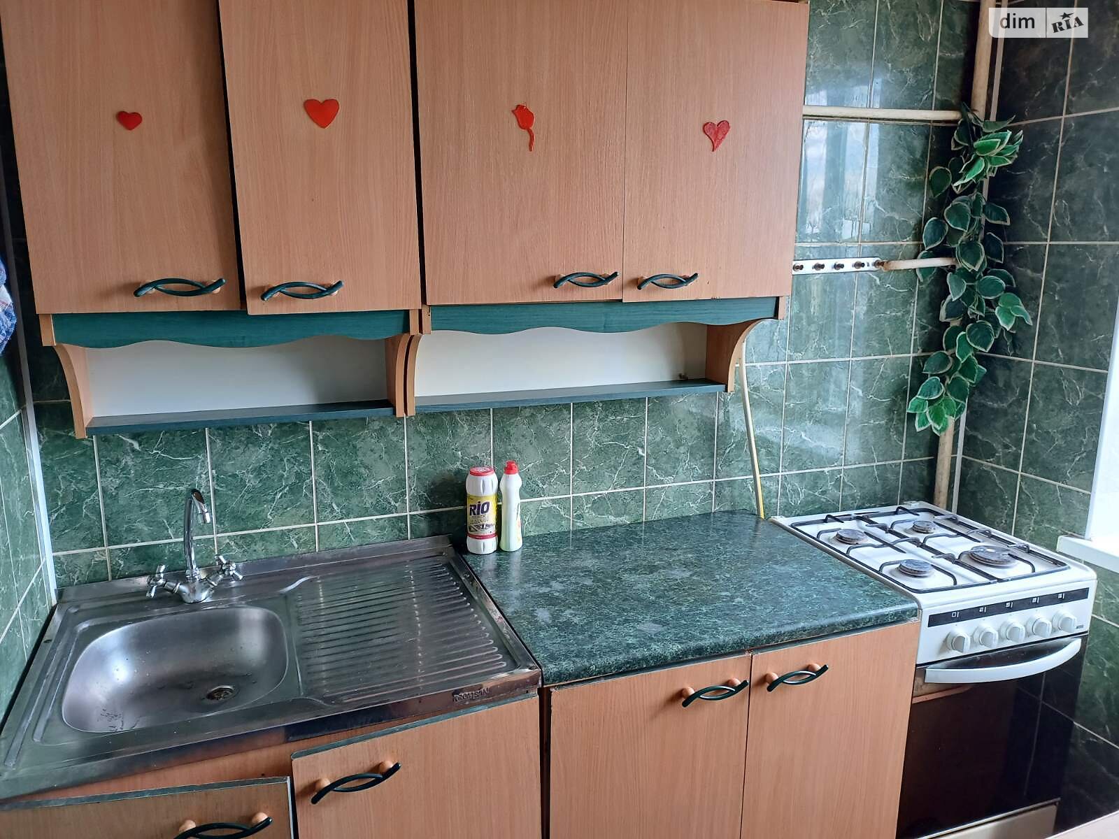 двухкомнатная квартира в Кропивницком, район Подольский, на ул. Маланюка Евгения в аренду на долгий срок помесячно фото 1 двухкомнатная квартира в Кропивницком, район Подольский, на ул. Маланюка Евгения в аренду на долгий срок помесячно фото 1