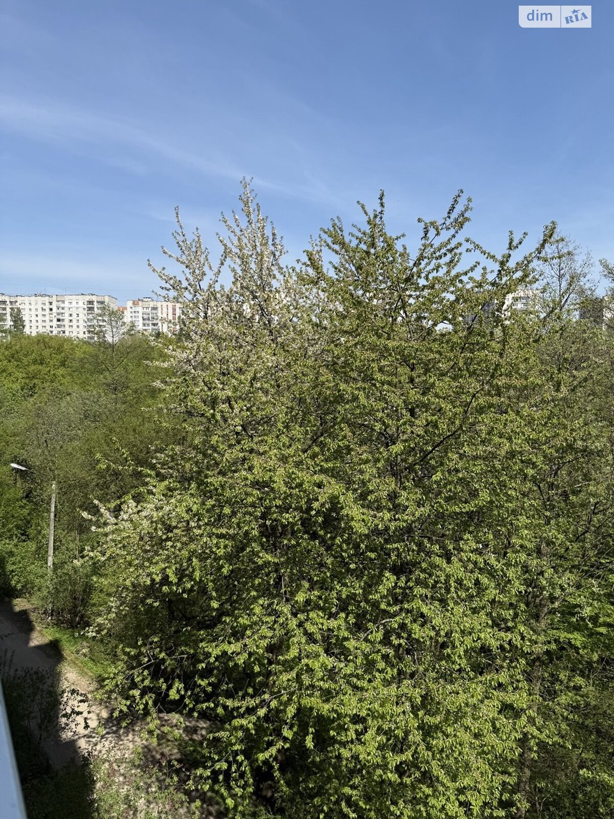 двокімнатна квартира в Львові, район Батальна, на вул. Пасічна 77 в довготривалу оренду помісячно фото 1 двокімнатна квартира в Львові, район Батальна, на вул. Пасічна 77 в довготривалу оренду помісячно фото 1