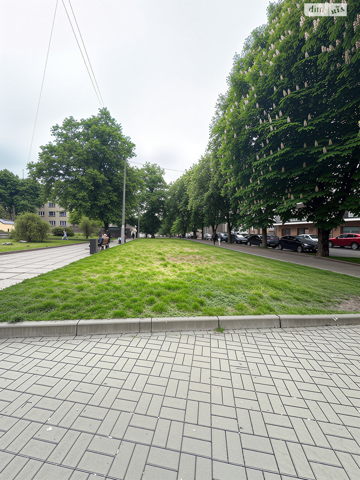 однокімнатна квартира в Львові, район Личаків, на вул. Туган-Барановського в довготривалу оренду помісячно фото 1 однокімнатна квартира в Львові, район Личаків, на вул. Туган-Барановського в довготривалу оренду помісячно фото 1