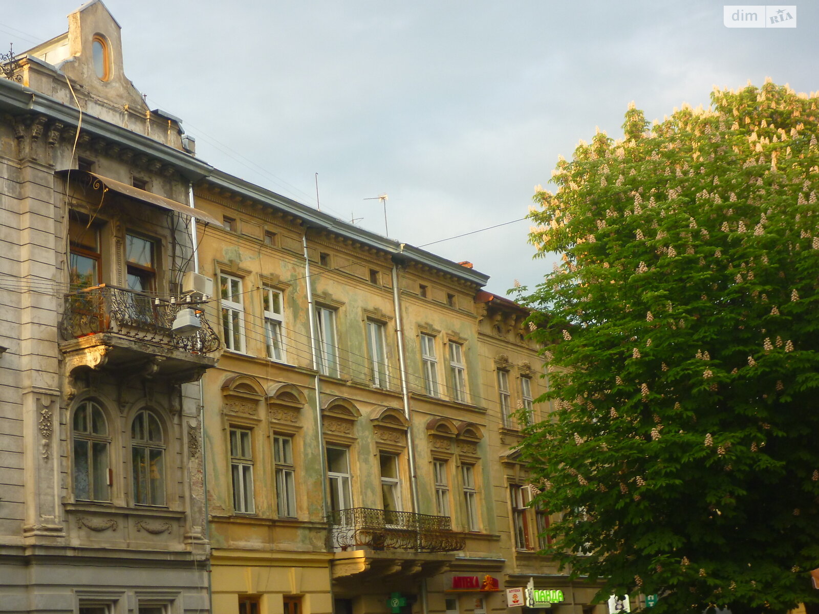 однокімнатна квартира в Львові, район Личаків, на вул. Юрія Руфа 15 в довготривалу оренду помісячно фото 1 однокімнатна квартира в Львові, район Личаків, на вул. Юрія Руфа 15 в довготривалу оренду помісячно фото 1