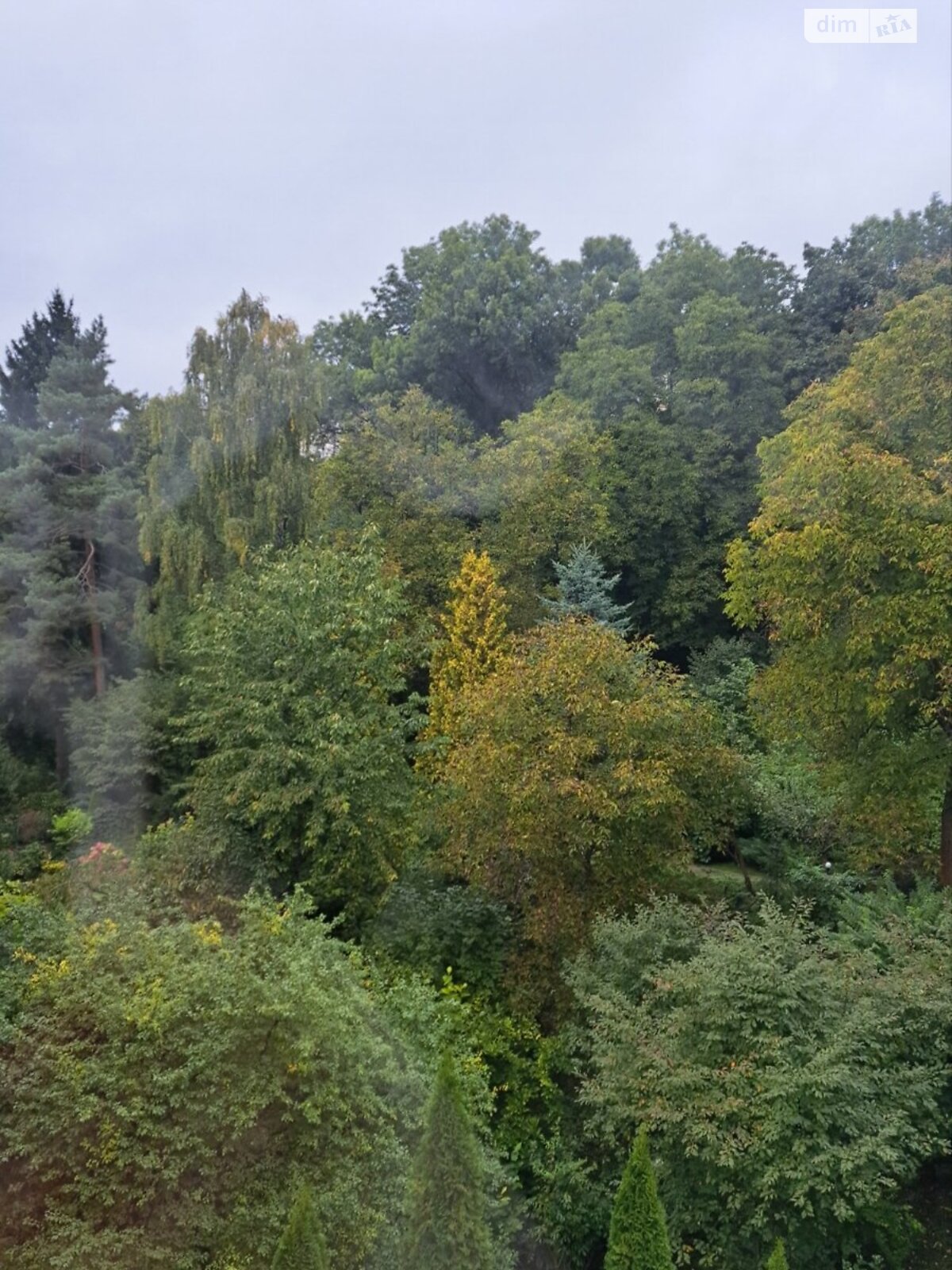 однокомнатная квартира в Львове, район Снопков, на ул. Тютюнников 41 в аренду на долгий срок помесячно фото 1 однокомнатная квартира в Львове, район Снопков, на ул. Тютюнников 41 в аренду на долгий срок помесячно фото 1