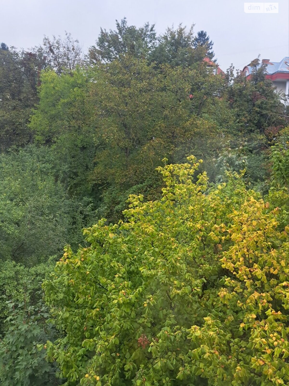 однокомнатная квартира в Львове, район Снопков, на ул. Тютюнников 41 в аренду на долгий срок помесячно фото 1 однокомнатная квартира в Львове, район Снопков, на ул. Тютюнников 41 в аренду на долгий срок помесячно фото 1