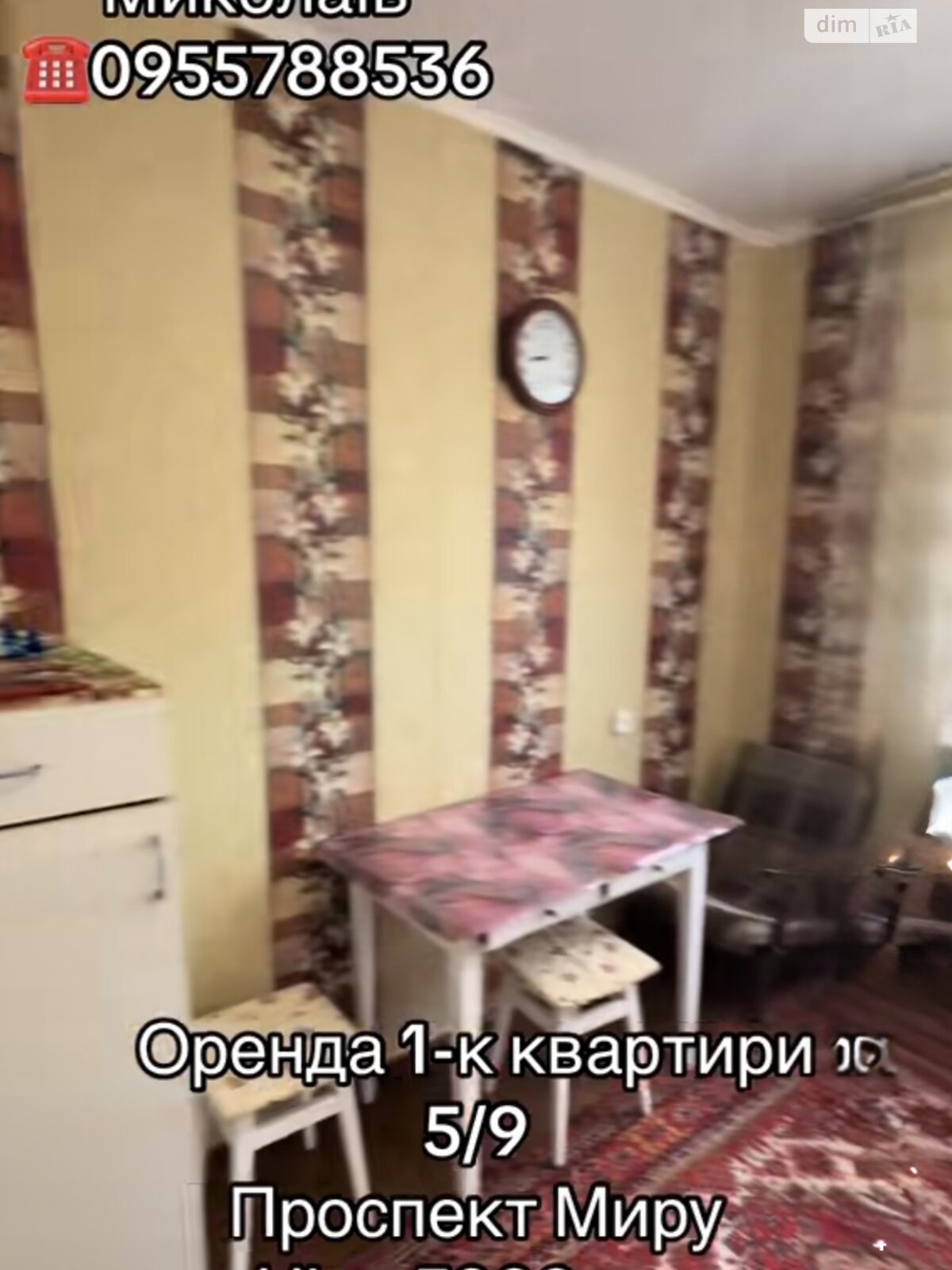однокімнатна квартира з меблями в Миколаєві, район Новий Водопій, на просп. Миру в довготривалу оренду помісячно фото 1 однокімнатна квартира з меблями в Миколаєві, район Новий Водопій, на просп. Миру в довготривалу оренду помісячно фото 1