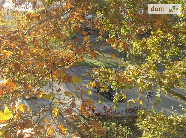 однокімнатна квартира з меблями в Миколаєві, район Центральний, на Садова Центр вулиця в довготривалу оренду помісячно фото 1 однокімнатна квартира з меблями в Миколаєві, район Центральний, на Садова Центр вулиця в довготривалу оренду помісячно фото 1