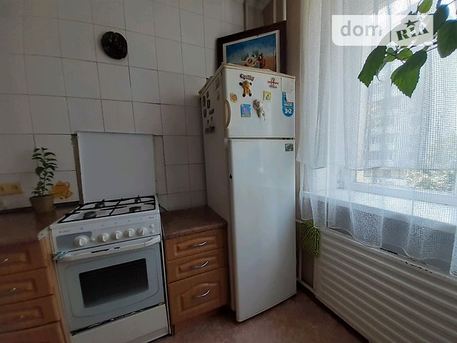однокомнатная квартира в Николаеве, район Центральный, на ул. Декабристов (Центр) в аренду на долгий срок помесячно фото 1 однокомнатная квартира в Николаеве, район Центральный, на ул. Декабристов (Центр) в аренду на долгий срок помесячно фото 1