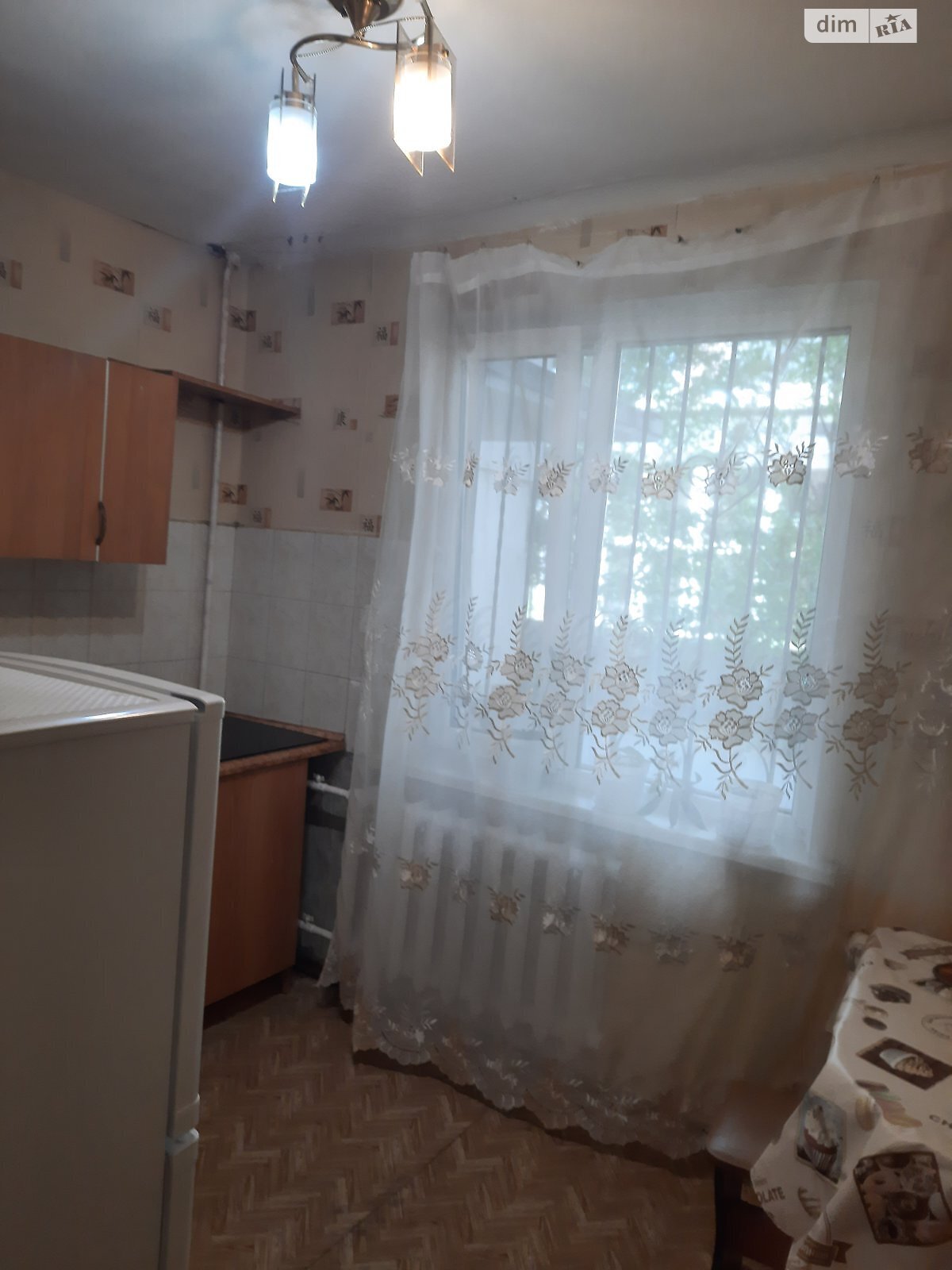 однокомнатная квартира в Николаеве, на просп. Центральный в аренду на долгий срок помесячно фото 1 однокомнатная квартира в Николаеве, на просп. Центральный в аренду на долгий срок помесячно фото 1