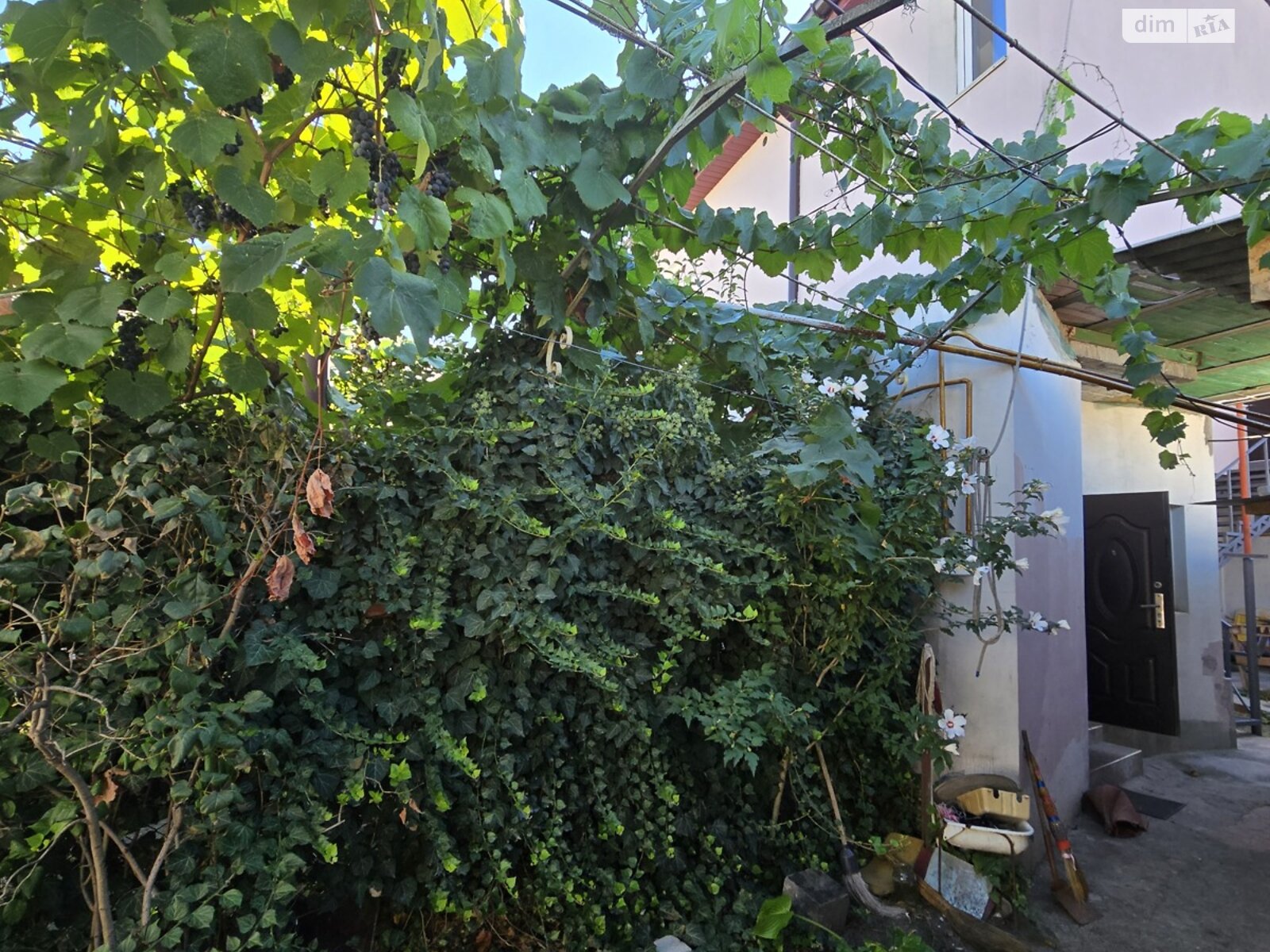 двокімнатна квартира в Миколаєві, район Заводський, на вул. Миколи Лєскова в довготривалу оренду помісячно фото 1 двокімнатна квартира в Миколаєві, район Заводський, на вул. Миколи Лєскова в довготривалу оренду помісячно фото 1