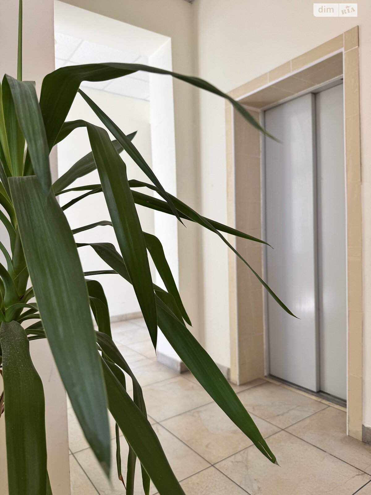 однокімнатна квартира в Одесі, район Аркадія, на вул. Генуезька 36 в довготривалу оренду помісячно фото 1