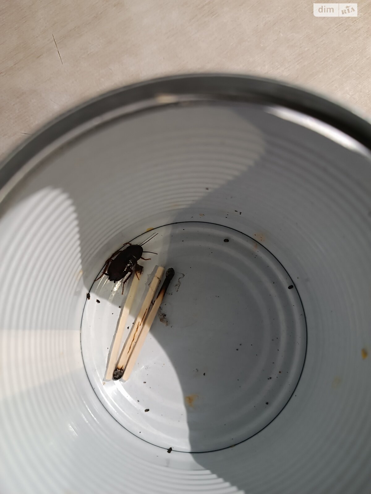 однокомнатная квартира в Одессе, район Хаджибейский, на ул. Радостная 29 корпус 2 в аренду на долгий срок помесячно фото 1 однокомнатная квартира в Одессе, район Хаджибейский, на ул. Радостная 29 корпус 2 в аренду на долгий срок помесячно фото 1