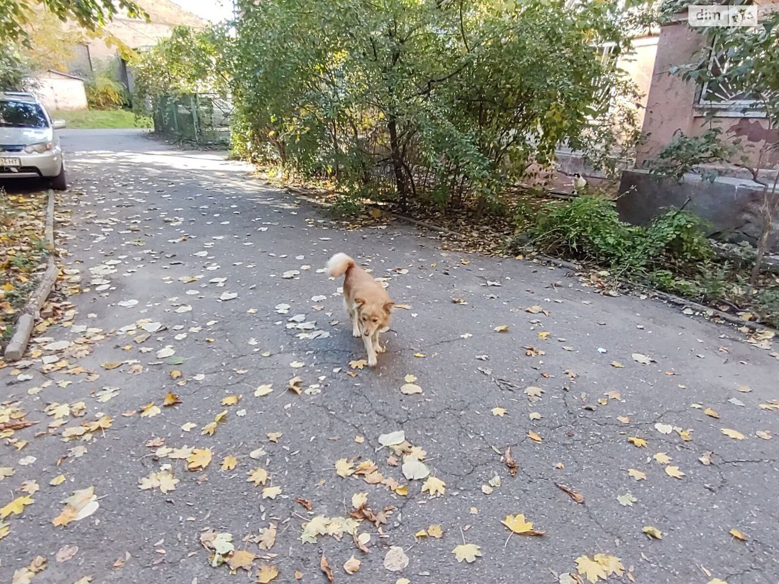 двокімнатна квартира в Одесі, район Молдаванка, на вул. Степова (Молдованка) в довготривалу оренду помісячно фото 1
