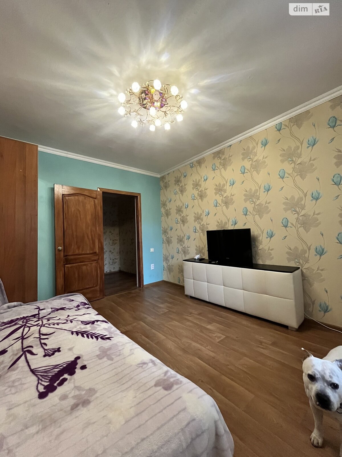 трехкомнатная квартира в Одессе, район Пересыпский, на ул. Владислава Бувалкина 52 в аренду на долгий срок помесячно фото 1 трехкомнатная квартира в Одессе, район Пересыпский, на ул. Владислава Бувалкина 52 в аренду на долгий срок помесячно фото 1