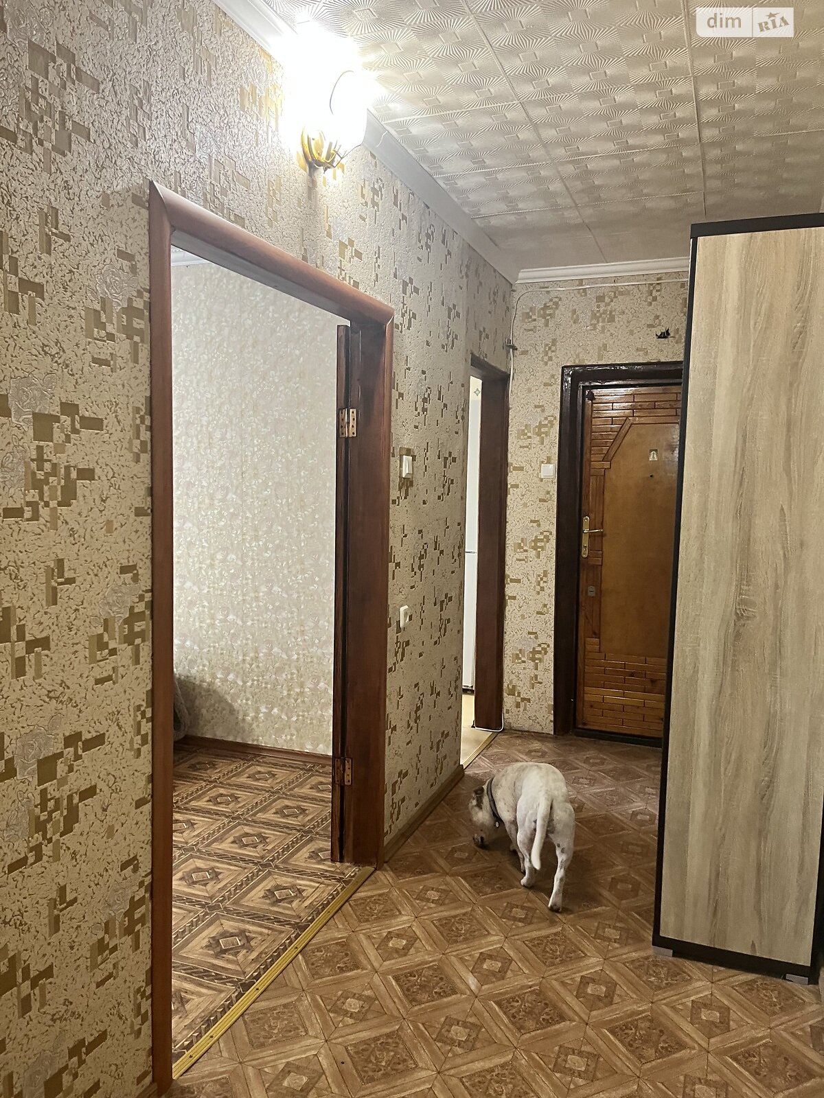 трехкомнатная квартира в Одессе, район Пересыпский, на ул. Владислава Бувалкина 52 в аренду на долгий срок помесячно фото 1 трехкомнатная квартира в Одессе, район Пересыпский, на ул. Владислава Бувалкина 52 в аренду на долгий срок помесячно фото 1