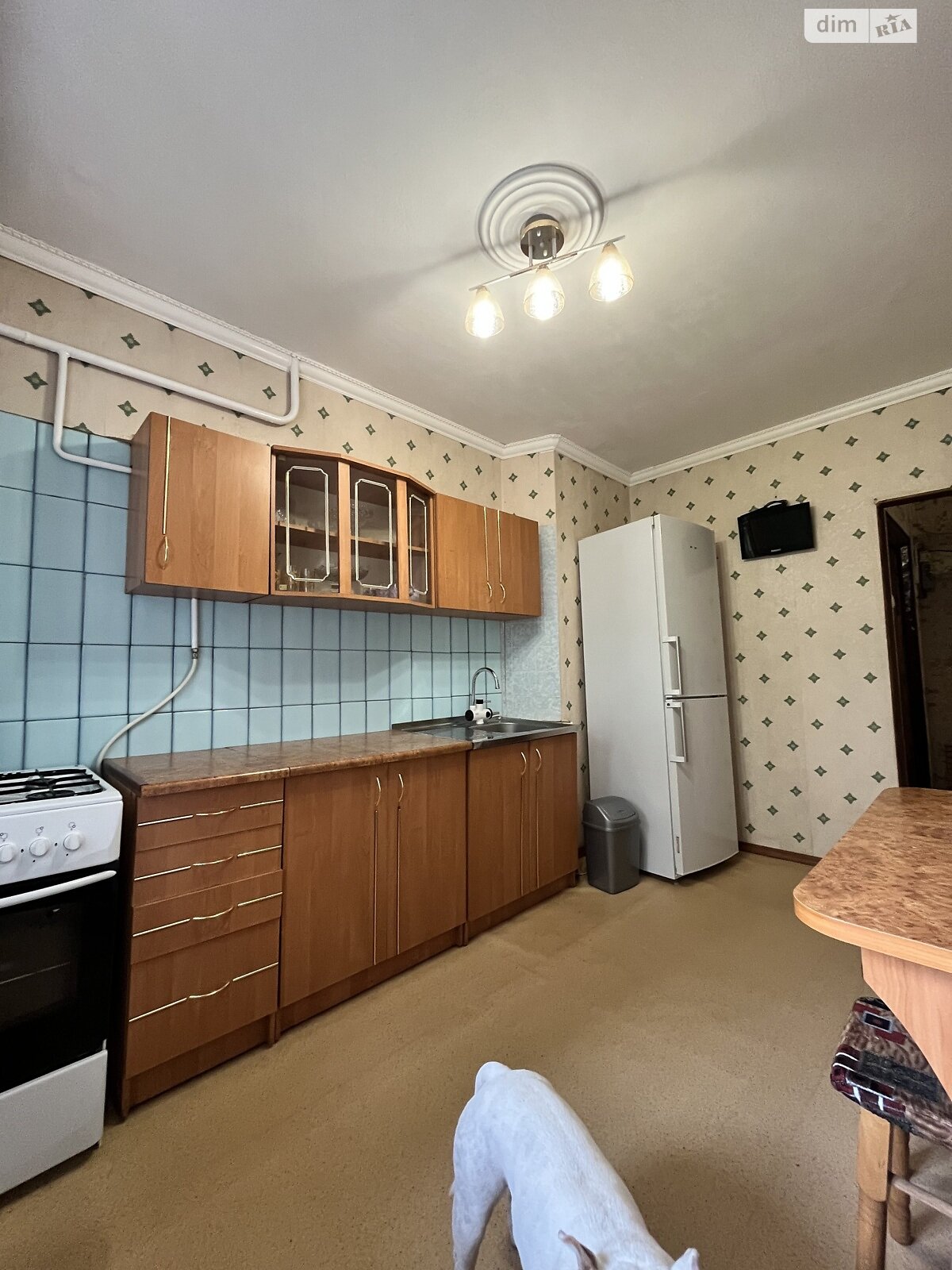 трехкомнатная квартира в Одессе, район Пересыпский, на ул. Владислава Бувалкина 52 в аренду на долгий срок помесячно фото 1 трехкомнатная квартира в Одессе, район Пересыпский, на ул. Владислава Бувалкина 52 в аренду на долгий срок помесячно фото 1