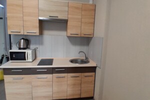 однокомнатная квартира в Крыжановка, на ул. Защитников Украины 60-З в аренду на долгий срок помесячно фото 2 однокомнатная квартира в Крыжановка, на ул. Защитников Украины 60-З в аренду на долгий срок помесячно фото 2