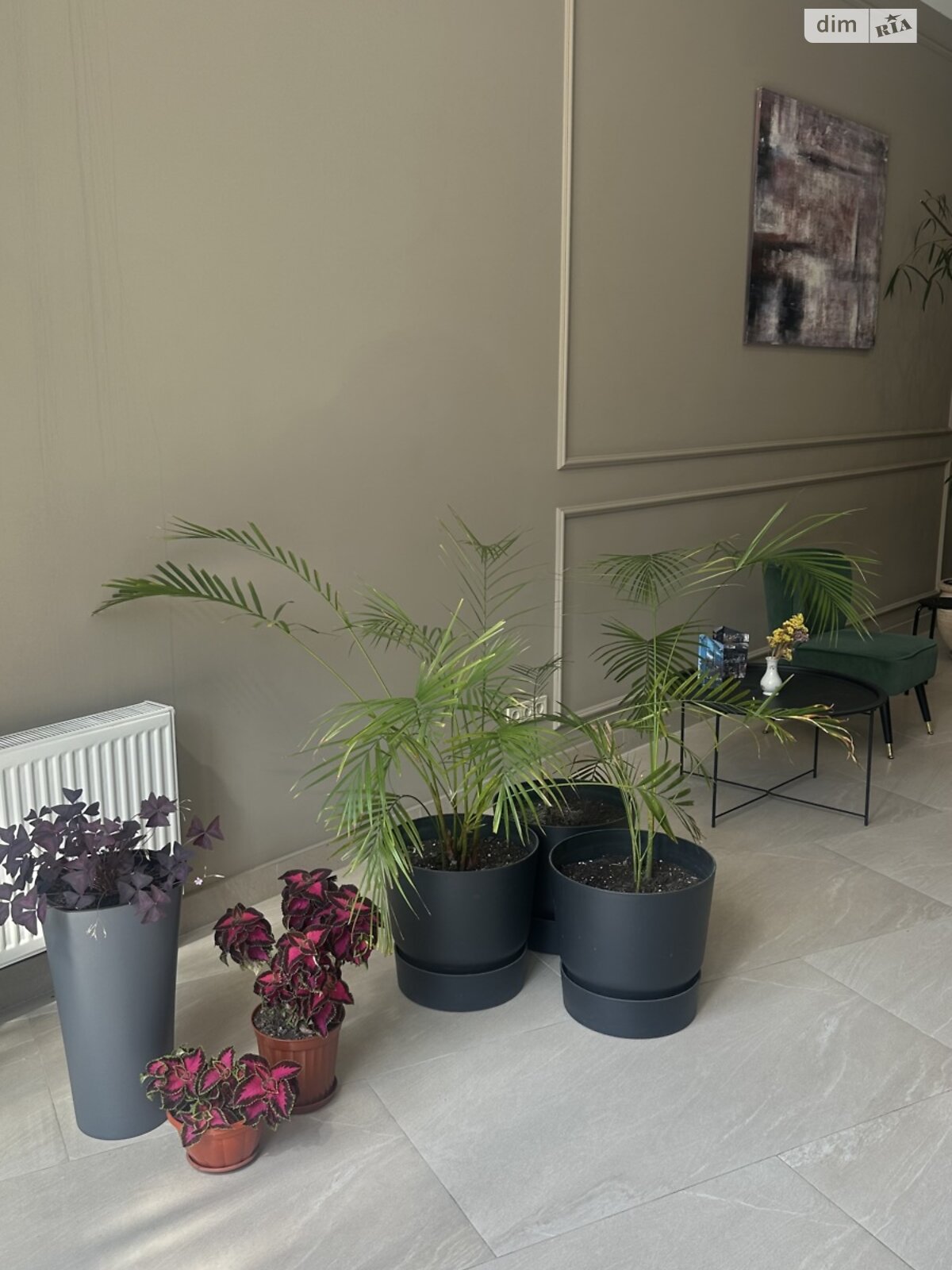 однокімнатна квартира в Одесі, район Приморський, на пров. Полуничний 22А, кв. 110 в довготривалу оренду помісячно фото 1 однокімнатна квартира в Одесі, район Приморський, на пров. Полуничний 22А, кв. 110 в довготривалу оренду помісячно фото 1