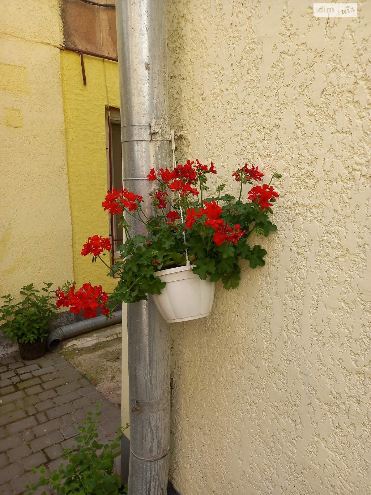 однокомнатная квартира в Одессе, район Центр, на ул. Еврейская в аренду на долгий срок помесячно фото 1