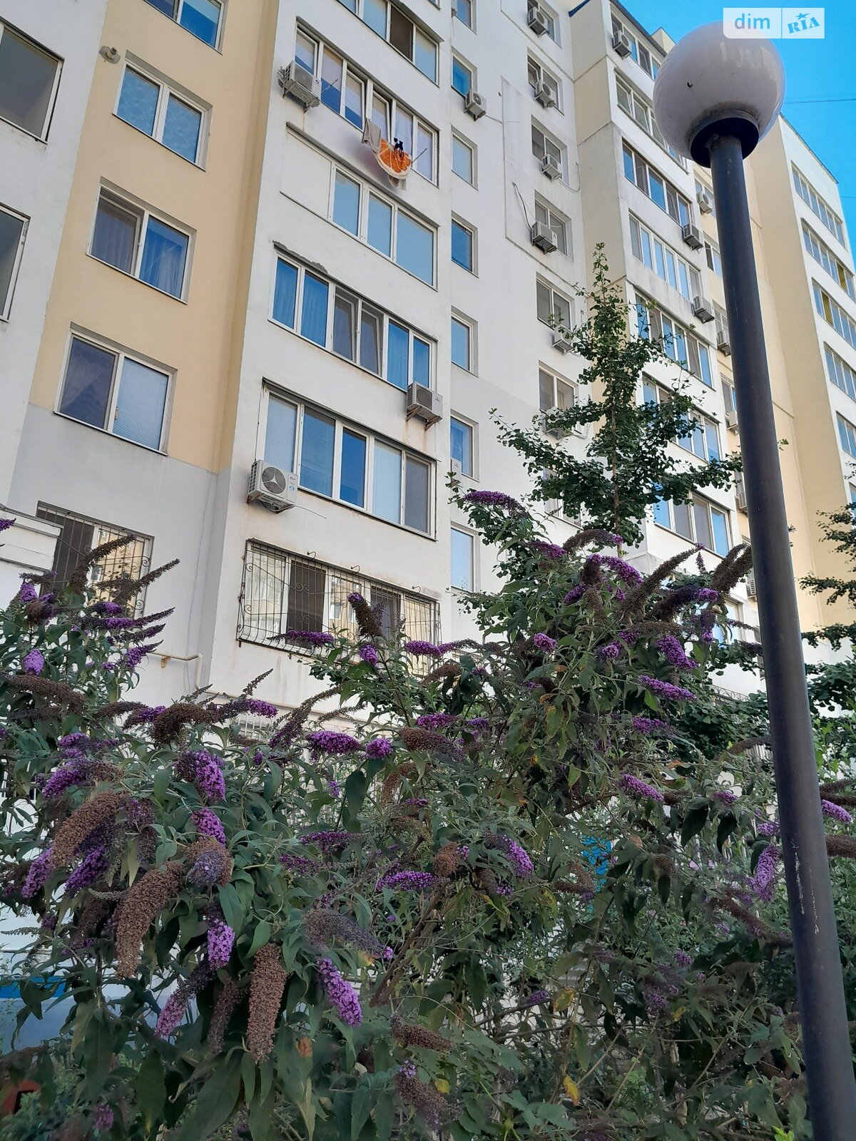 двухкомнатная квартира в Одессе, район Киевский, на ул. Евгения Чикаленко 59/6 в аренду на долгий срок помесячно фото 1 двухкомнатная квартира в Одессе, район Киевский, на ул. Евгения Чикаленко 59/6 в аренду на долгий срок помесячно фото 1