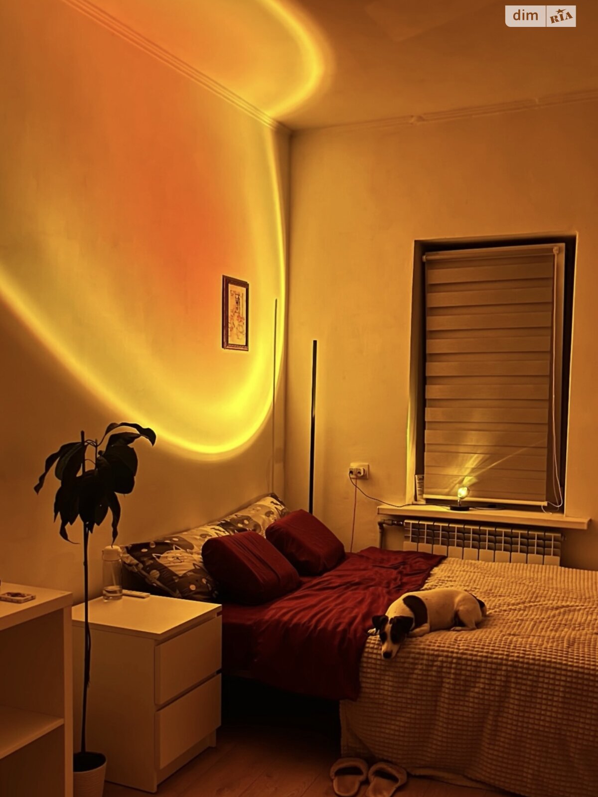 двухкомнатная квартира в Полтаве, район Новострой, на ул. Северин Жанны 9 в аренду на долгий срок помесячно фото 1 двухкомнатная квартира в Полтаве, район Новострой, на ул. Северин Жанны 9 в аренду на долгий срок помесячно фото 1