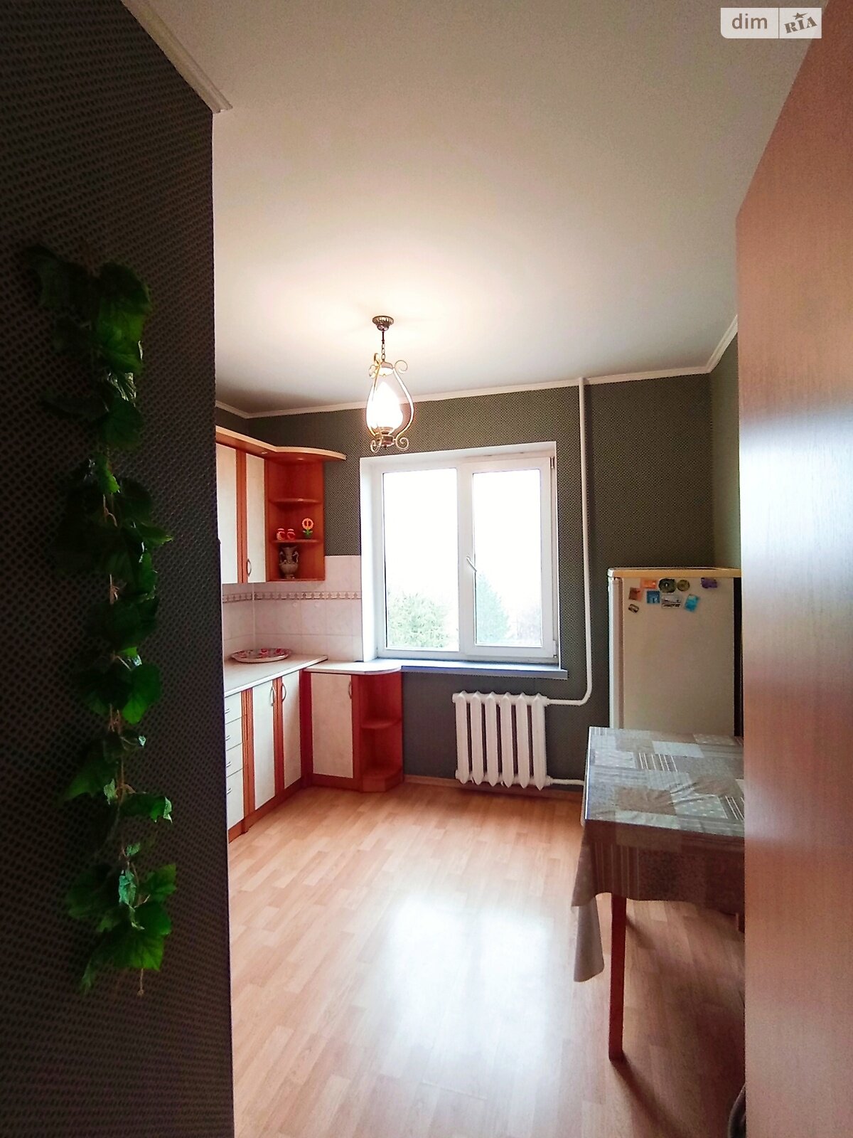 однокомнатная квартира в Ровно, район Ювилейный, на ул. Виталия Могеля 11 в аренду на долгий срок помесячно фото 1 однокомнатная квартира в Ровно, район Ювилейный, на ул. Виталия Могеля 11 в аренду на долгий срок помесячно фото 1