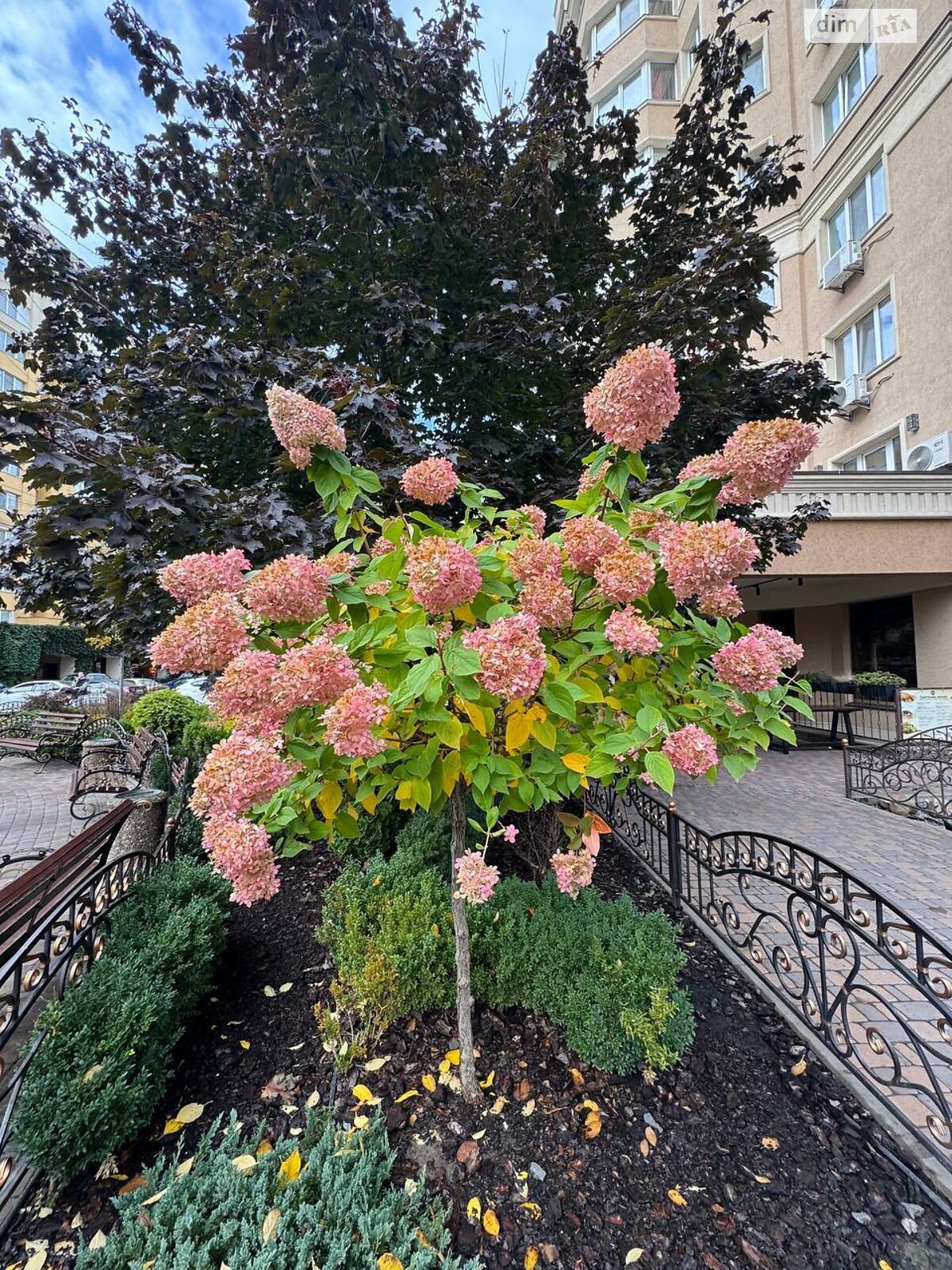 двухкомнатная квартира в Софиевской Борщаговке, на ул. Мира в аренду на долгий срок помесячно фото 1 двухкомнатная квартира в Софиевской Борщаговке, на ул. Мира в аренду на долгий срок помесячно фото 1