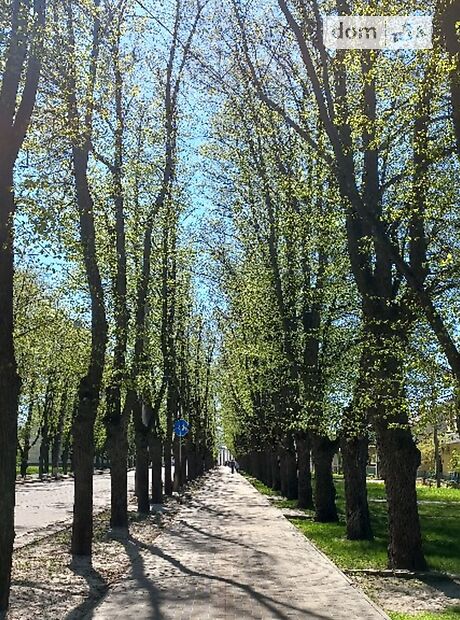 однокомнатная квартира с мебелью в Сумах, район Центр, на ул. Петропавловская в аренду на долгий срок помесячно фото 1 однокомнатная квартира с мебелью в Сумах, район Центр, на ул. Петропавловская в аренду на долгий срок помесячно фото 1