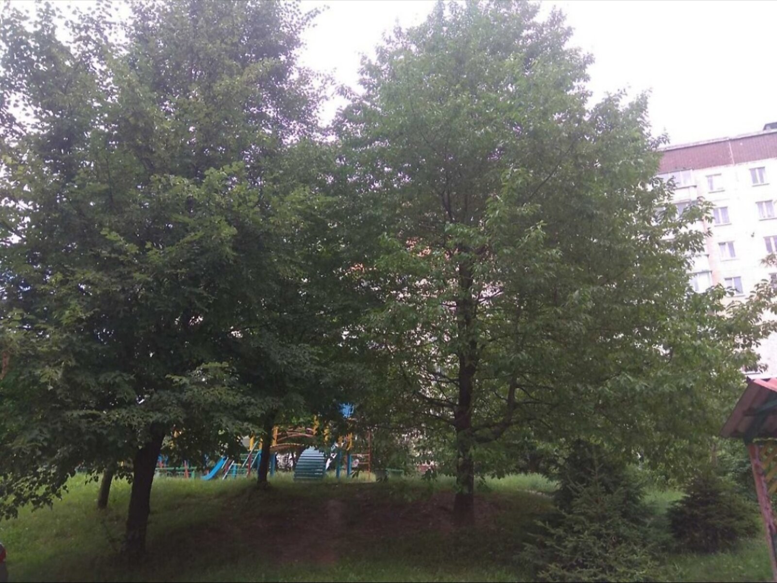 однокомнатная квартира в Тернополе, район Аляска, на ул. Владимира Великого в аренду на долгий срок помесячно фото 1 однокомнатная квартира в Тернополе, район Аляска, на ул. Владимира Великого в аренду на долгий срок помесячно фото 1