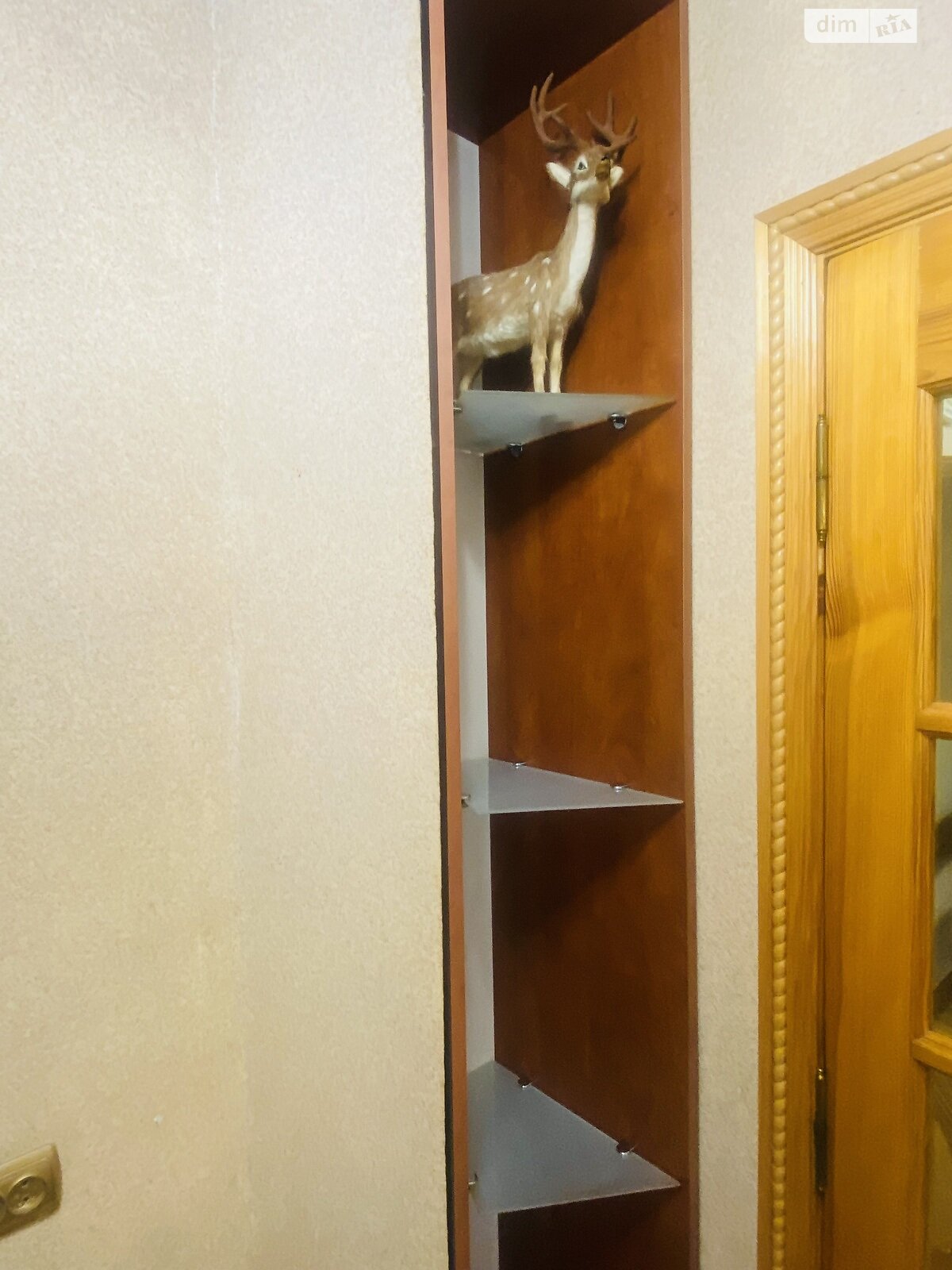 однокомнатная квартира в Тернополе, район Промышленный Северный, на ул. Бродовская 50 в аренду на долгий срок помесячно фото 1 однокомнатная квартира в Тернополе, район Промышленный Северный, на ул. Бродовская 50 в аренду на долгий срок помесячно фото 1