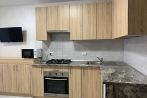 однокомнатная квартира в Тернополе, район Центр, на ул. Замонастырская в аренду на долгий срок помесячно фото 2