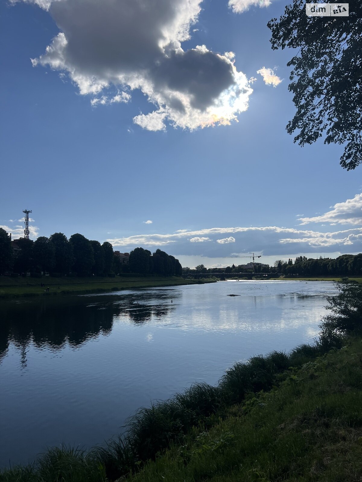 однокімнатна квартира в Ужгороді, район Боздош, на вул. Возз’єднання 7 в довготривалу оренду помісячно фото 1 однокімнатна квартира в Ужгороді, район Боздош, на вул. Возз’єднання 7 в довготривалу оренду помісячно фото 1
