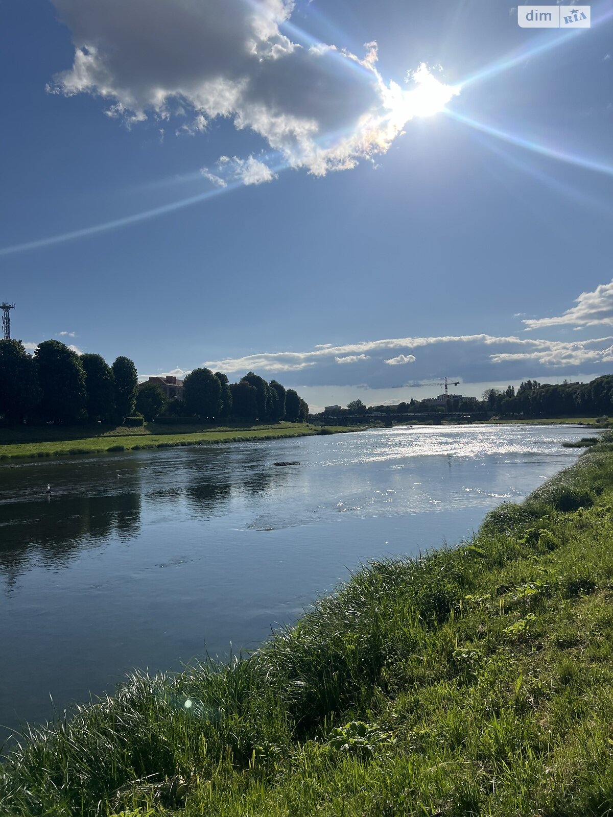 однокімнатна квартира в Ужгороді, район Боздош, на вул. Возз’єднання 7 в довготривалу оренду помісячно фото 1 однокімнатна квартира в Ужгороді, район Боздош, на вул. Возз’єднання 7 в довготривалу оренду помісячно фото 1