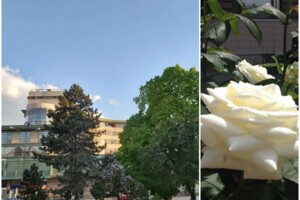 двухкомнатная квартира в Ужгороде, район Центр, на пл. Жупанатская 1, кв. 34 в аренду на долгий срок помесячно фото 3