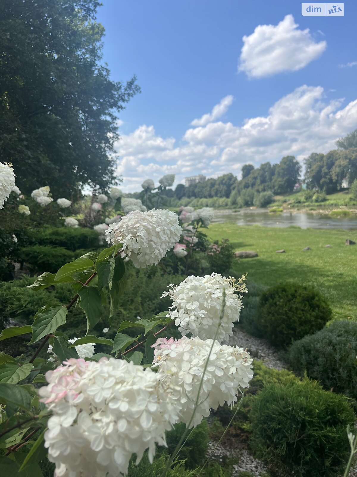 двухкомнатная квартира в Ужгороде, район Центр, на пл. Жупанатская 1 в аренду на долгий срок помесячно фото 1